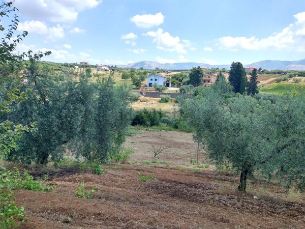 terreno agricolo in vendita a Cisterna di Latina