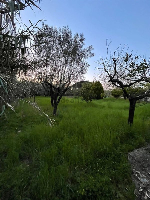 locale di sgombero in vendita a Cisterna di Latina