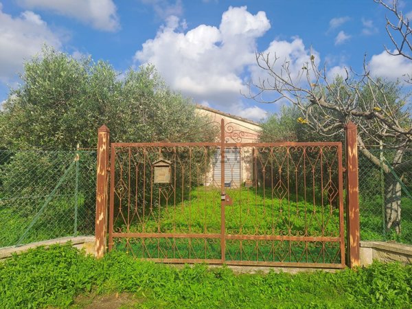 terreno agricolo in vendita a Cisterna di Latina