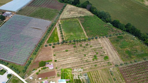 terreno agricolo in vendita a Cisterna di Latina