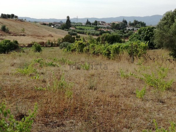 terreno agricolo in vendita a Cisterna di Latina