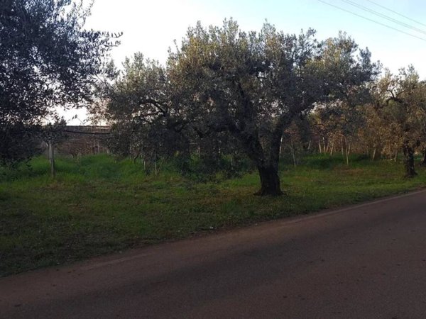 terreno agricolo in vendita a Cisterna di Latina