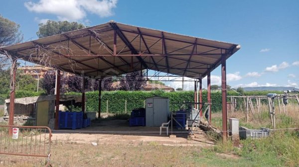 terreno agricolo in vendita a Cisterna di Latina