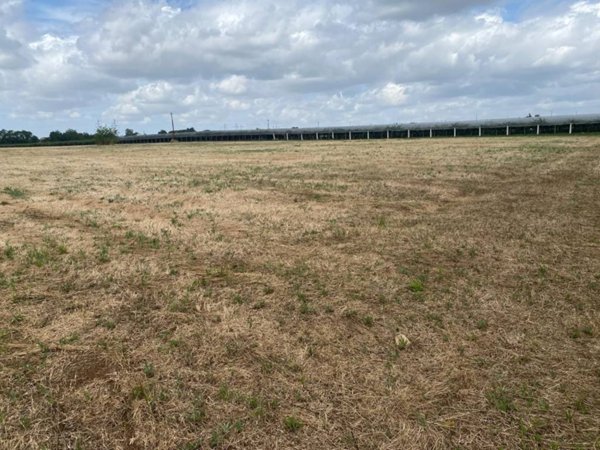 terreno agricolo in vendita a Cisterna di Latina