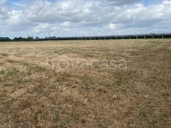 terreno agricolo in vendita a Cisterna di Latina