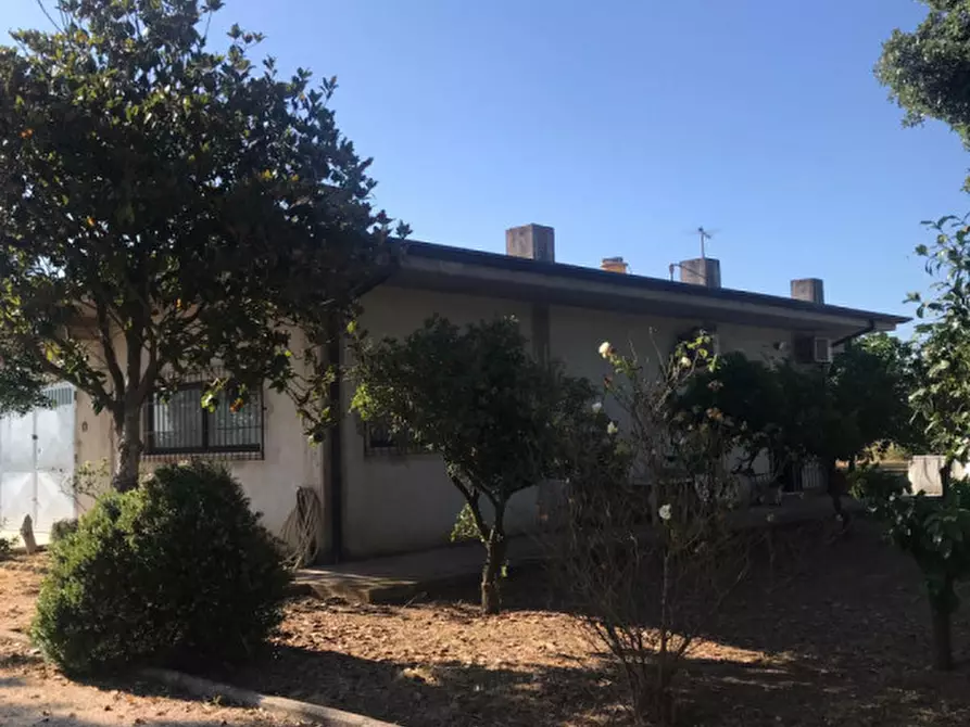 casa indipendente in vendita a Cisterna di Latina in zona Prato Cesarino