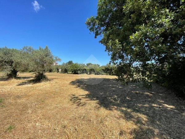terreno agricolo in vendita a Cisterna di Latina