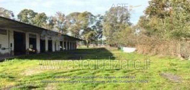 negozio in vendita a Cisterna di Latina