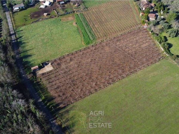 terreno agricolo in vendita a Cisterna di Latina
