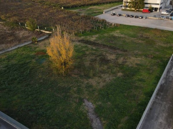 terreno agricolo in vendita a Cisterna di Latina in zona Borgo Flora