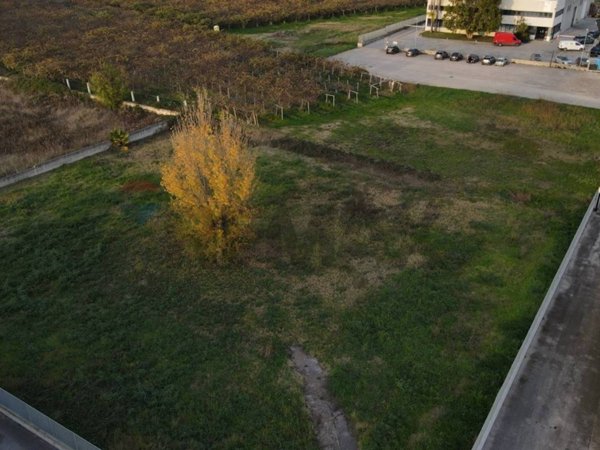 immagine annuncio 0 di 7