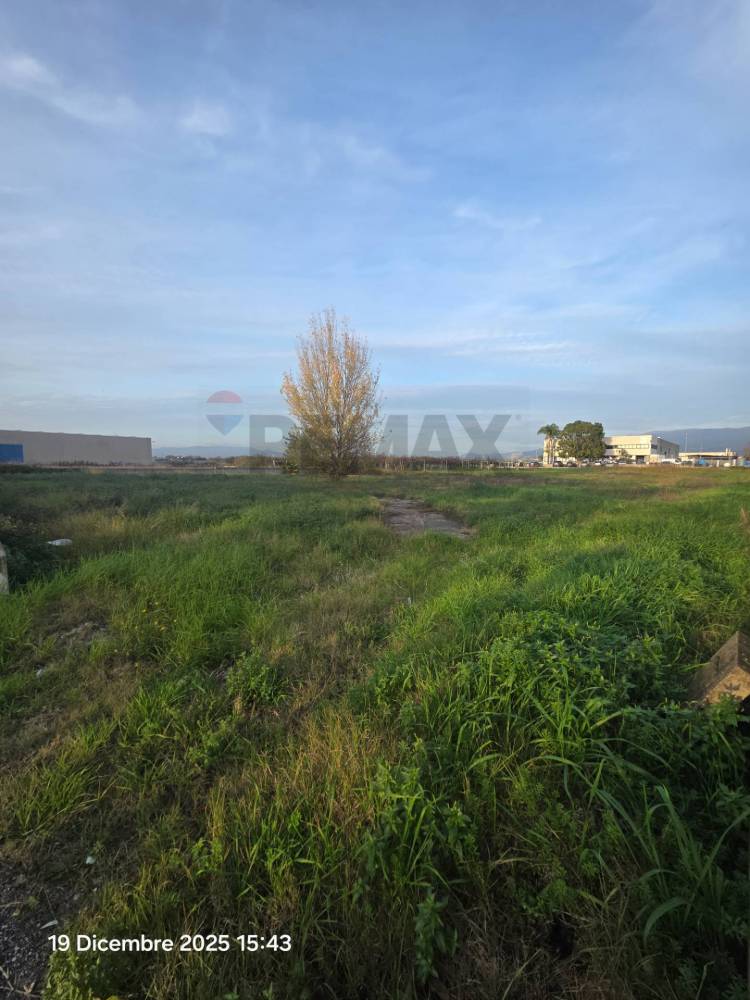 terreno industriale in vendita a Cisterna di Latina in zona Borgo Flora