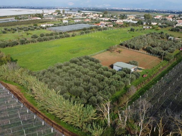 terreno agricolo in vendita a Cisterna di Latina