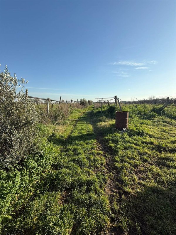 terreno agricolo in vendita a Cisterna di Latina