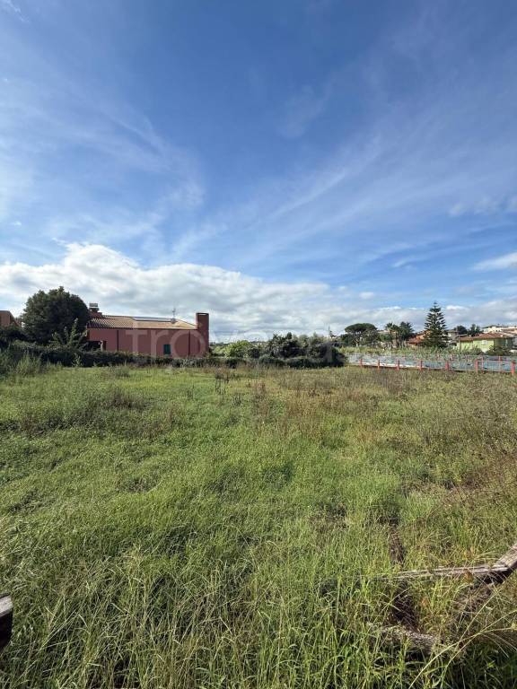 terreno agricolo in vendita a Cisterna di Latina