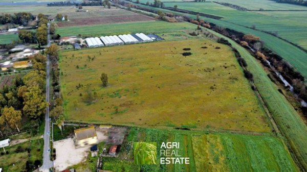 terreno agricolo in vendita a Cisterna di Latina