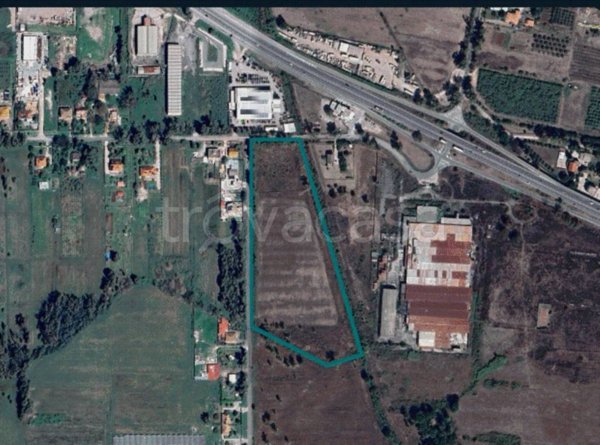 terreno agricolo in vendita a Cisterna di Latina