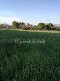 terreno agricolo in vendita a Cisterna di Latina in zona Sant'Ilario