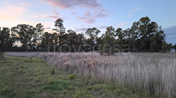 terreno agricolo in vendita a Cisterna di Latina