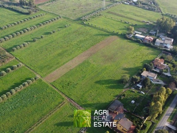 terreno agricolo in vendita a Cisterna di Latina in zona Prato Cesarino