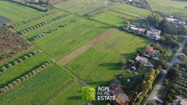 casa indipendente in vendita a Cisterna di Latina in zona Prato Cesarino