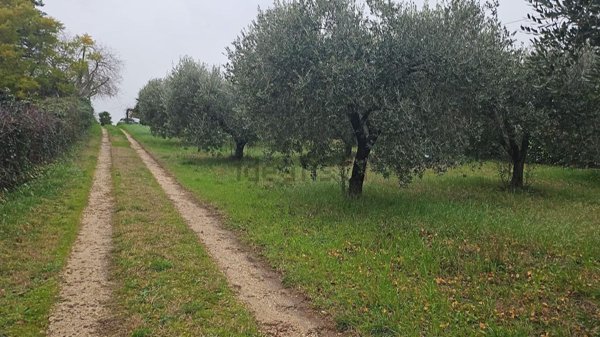 terreno agricolo in vendita a Cisterna di Latina in zona Le Castella
