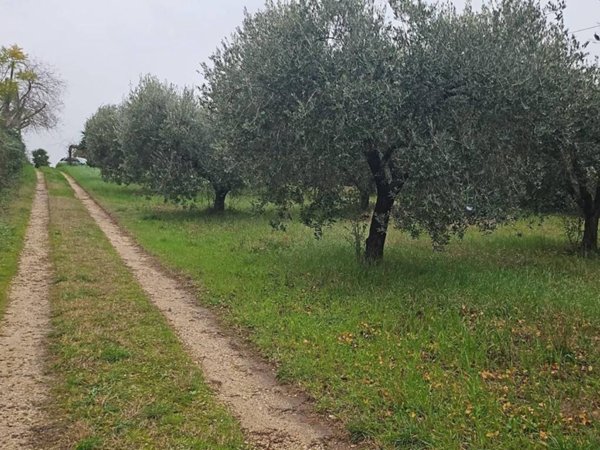 terreno agricolo in vendita a Cisterna di Latina in zona Le Castella