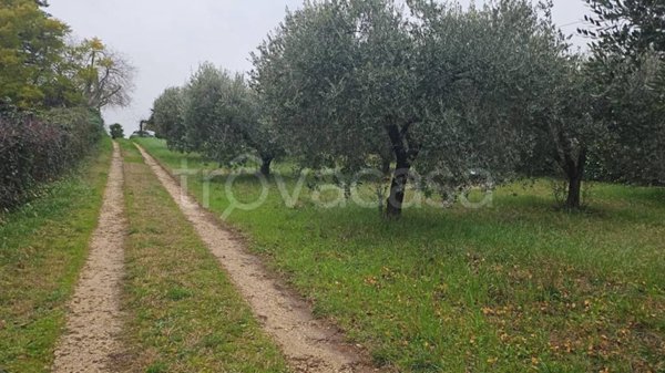 terreno agricolo in vendita a Cisterna di Latina in zona Le Castella