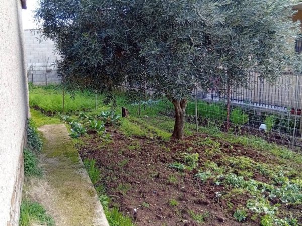 terreno agricolo in vendita a Cisterna di Latina