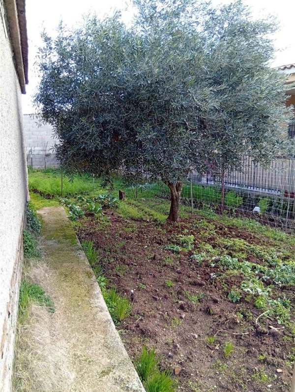 terreno agricolo in vendita a Cisterna di Latina