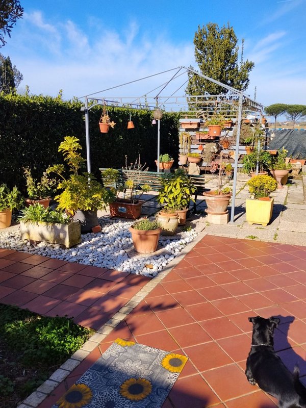 appartamento in vendita a Cisterna di Latina