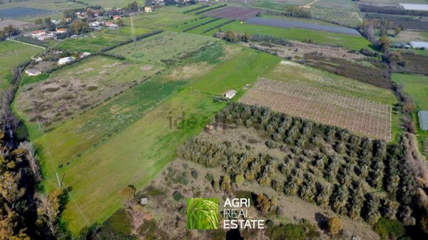 terreno agricolo in vendita a Cisterna di Latina in zona Prato Cesarino