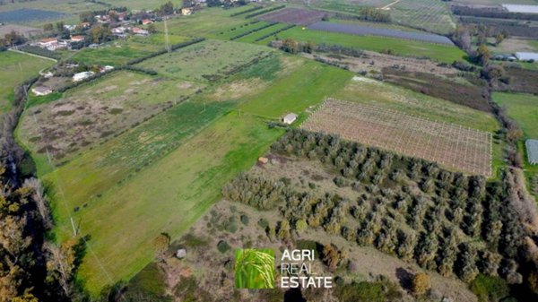 terreno agricolo in vendita a Cisterna di Latina in zona Prato Cesarino