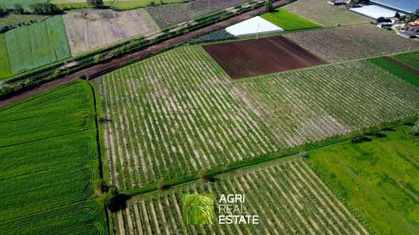 terreno agricolo in vendita a Cisterna di Latina