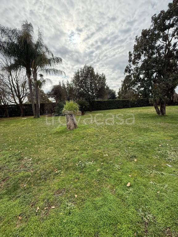 terreno agricolo in vendita a Cisterna di Latina
