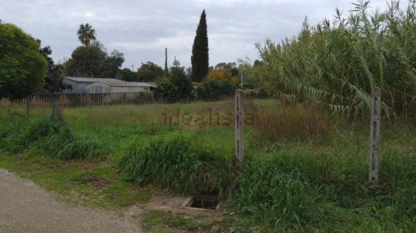 terreno edificabile in vendita a Cisterna di Latina in zona Sant'Ilario