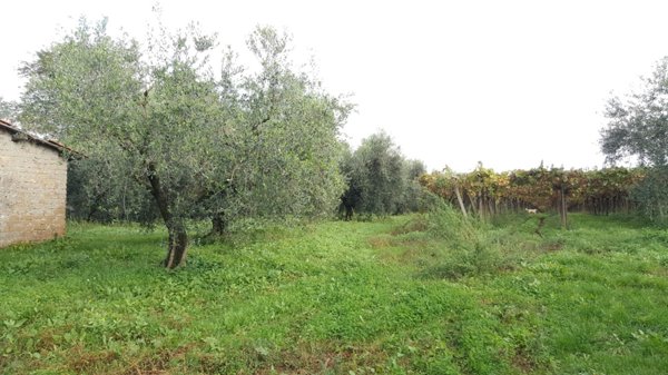 terreno agricolo in vendita a Cisterna di Latina in zona Castel Ginnetti