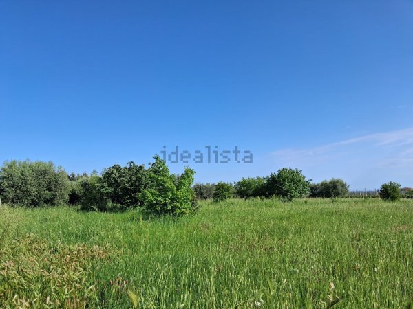 terreno agricolo in vendita a Cisterna di Latina