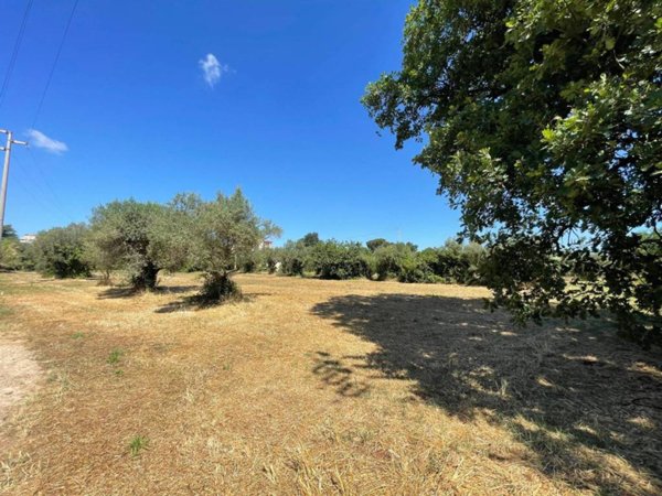 terreno agricolo in vendita a Cisterna di Latina