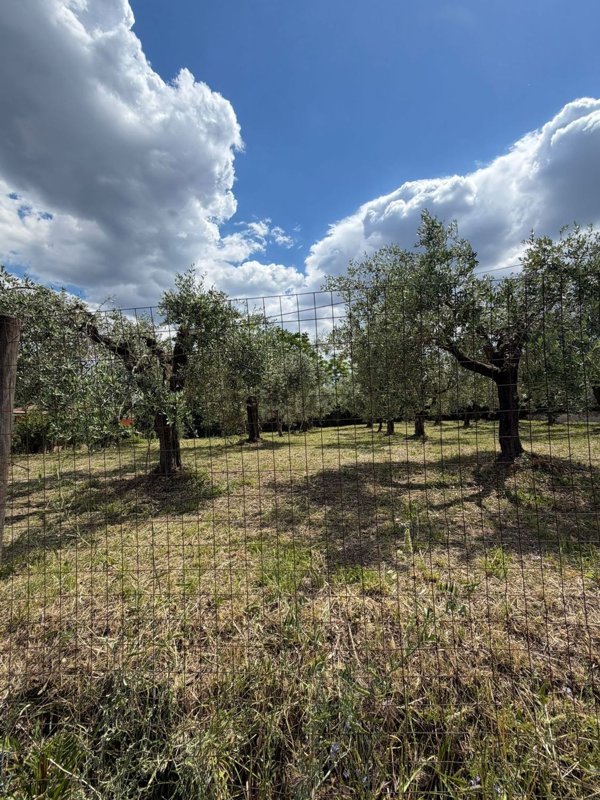 appartamento in vendita a Cisterna di Latina