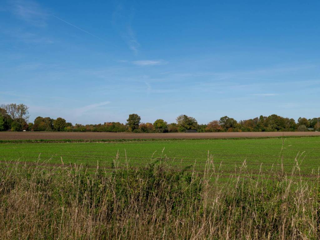 terreno agricolo in vendita a Cisterna di Latina in zona Sant'Ilario