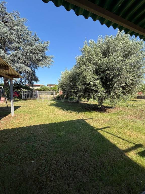 terreno agricolo in vendita a Cisterna di Latina