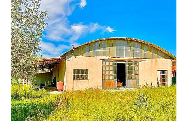 terreno agricolo in vendita a Cisterna di Latina