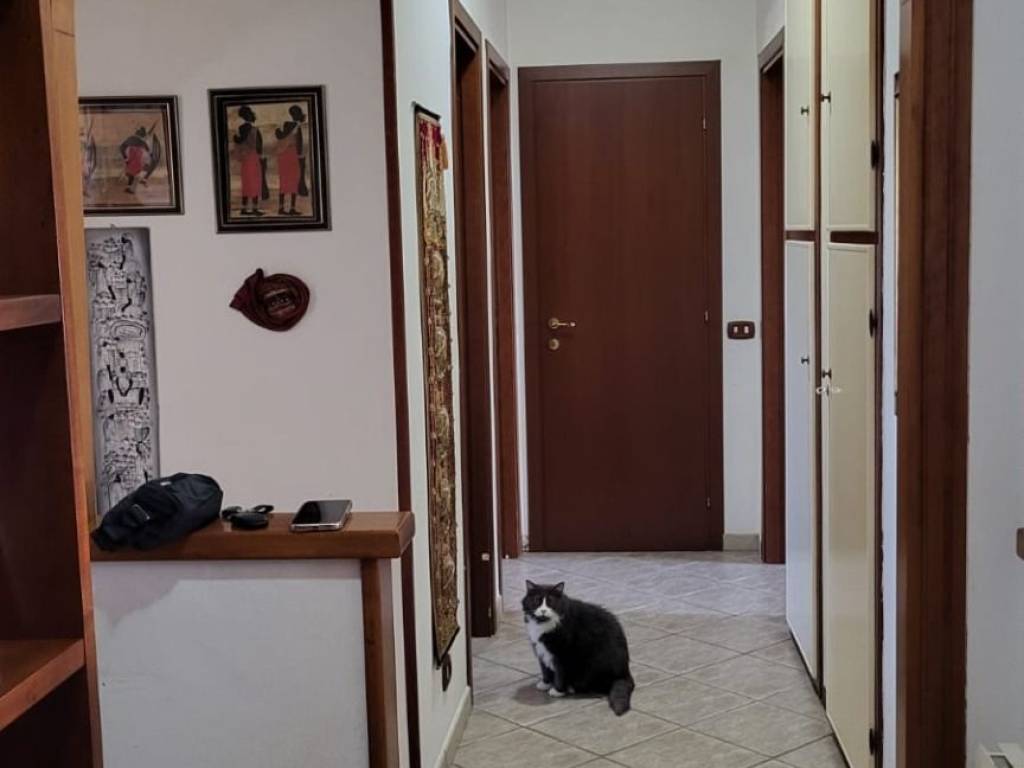 appartamento in vendita a Cisterna di Latina