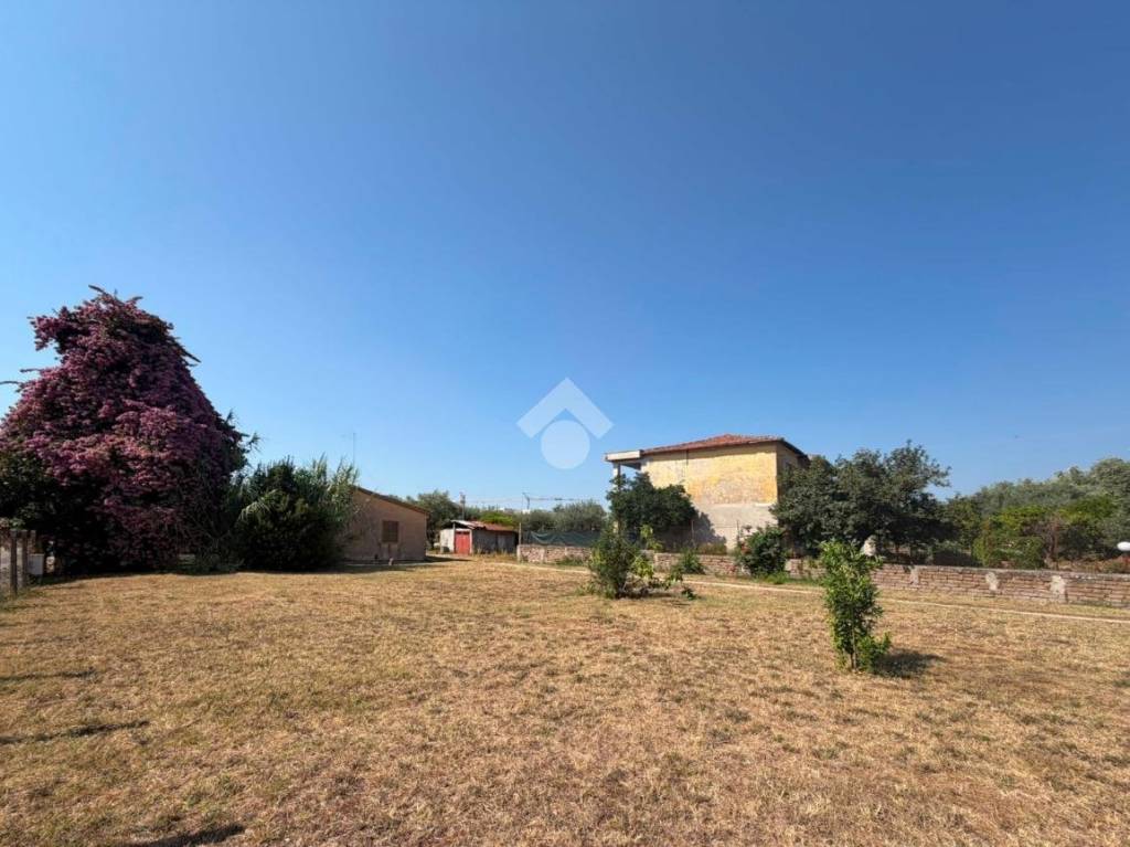 terreno agricolo in vendita a Cisterna di Latina