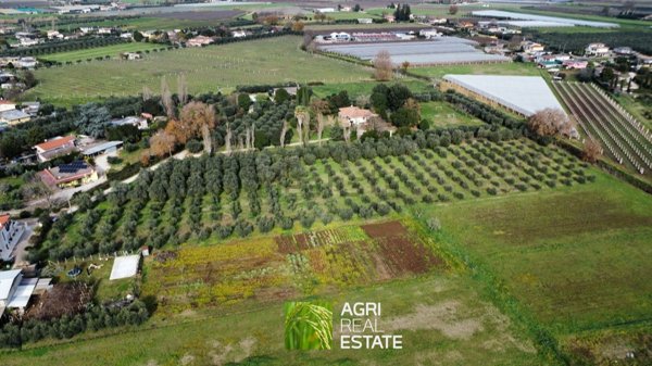 terreno in vendita a Cisterna di Latina