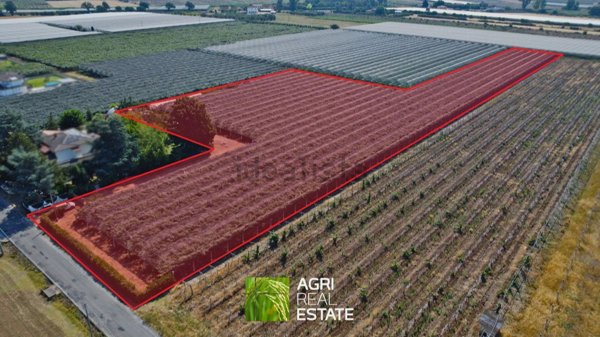 terreno in vendita a Cisterna di Latina in zona Borgo Flora