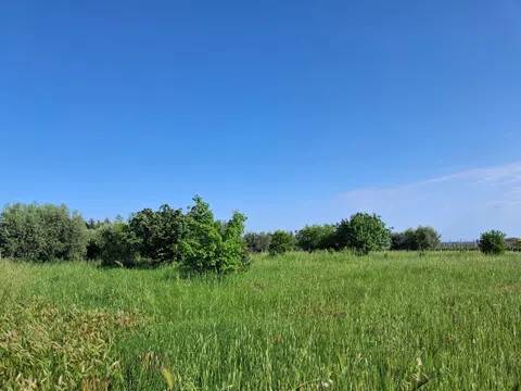 terreno agricolo in vendita a Cisterna di Latina