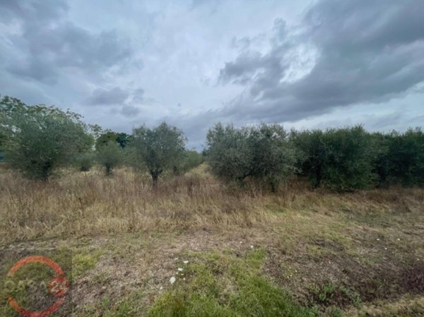 terreno agricolo in vendita a Cisterna di Latina in zona Olmobello
