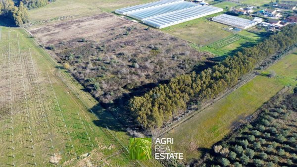 terreno in vendita a Cisterna di Latina